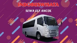 003 Sewa Elf Ancol - Indobuswisata