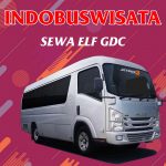 023 Sewa Elf Gdc Indobuswisata