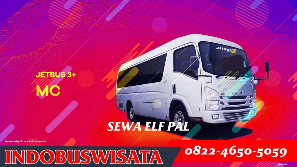 052 Sewa Elf Pal Elf Jetbus Adiputro Mc 01 Indobuswisata