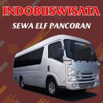 Sewa Elf Pancoran 053 Sewa Elf Pancoran Indobuswisata