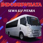 059 Sewa Elf Pitara Indobuswisata