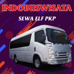 060 Sewa Elf Pkp Indobuswisata