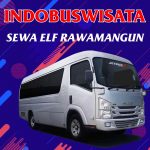 066 Sewa Elf Rawamangun Indobuswisata