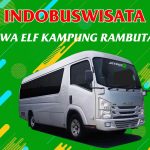 Sewa Elf Kampung Rambutan 083 Sewa Elf Kampung Rambutan Indobuswisata