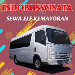 Sewa Elf Kemayoran 093 Sewa Elf Kemayoran Indobuswisata