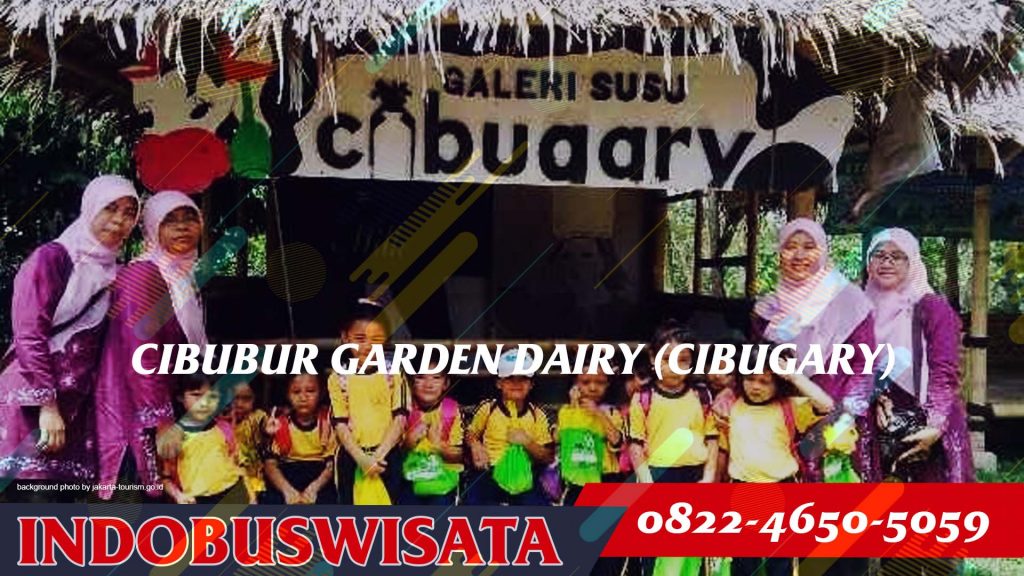 Cibubur Garden Dairy - Indobuswisata