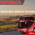 022 Sbm Fp Sewa Bus Murah Cileungsi Jb 3 Hdd Indobuswisata