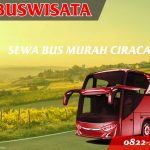 Sewa Bus Murah Ciracas 029 Sbm Fp Sewa Bus Murah Ciracas Jb 3 Hdd Indobuswisata