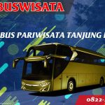 Sewa Bus Pariwisata Tanjung Barat 121 Sbp Fp Sewa Bus Pariwisata Tanjung Barat Indobuswisata