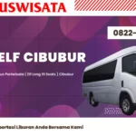 Sewa Elf Cibubur Elf Long Se 001.jpg